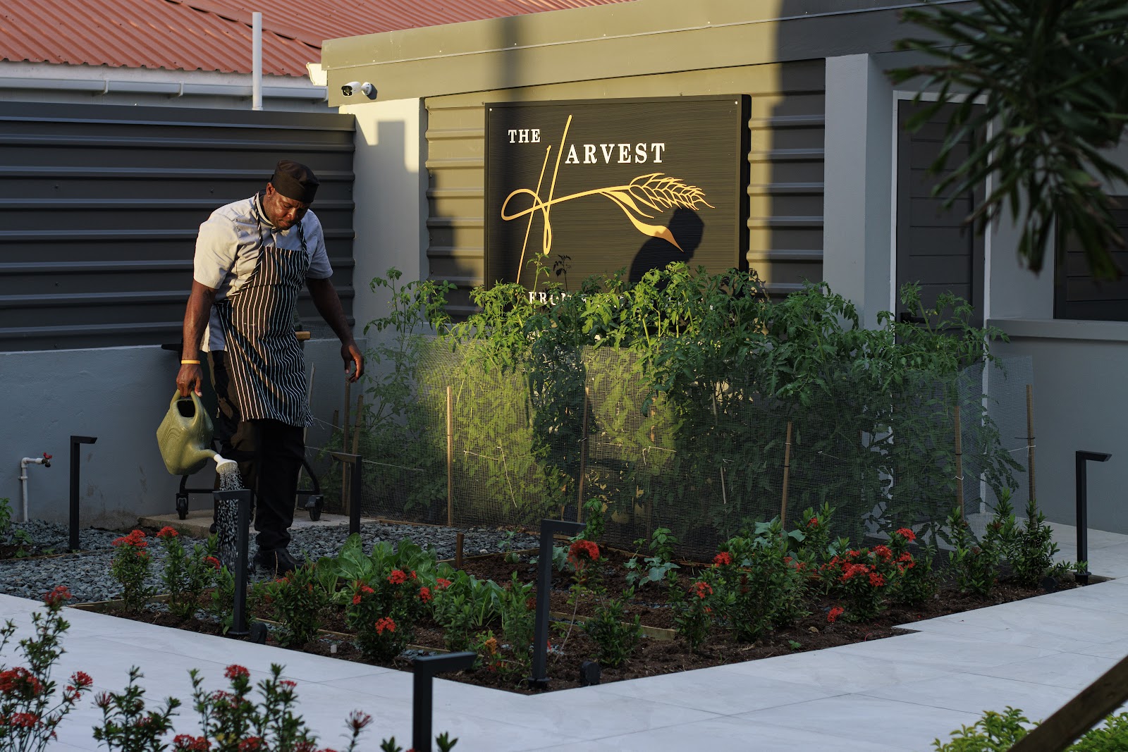 The Harvest and Table Restaurant