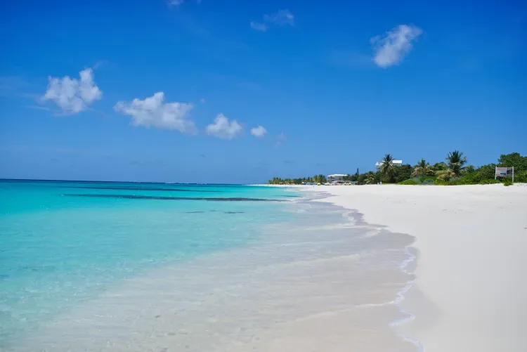 Top 5 Beaches You Have to Experience