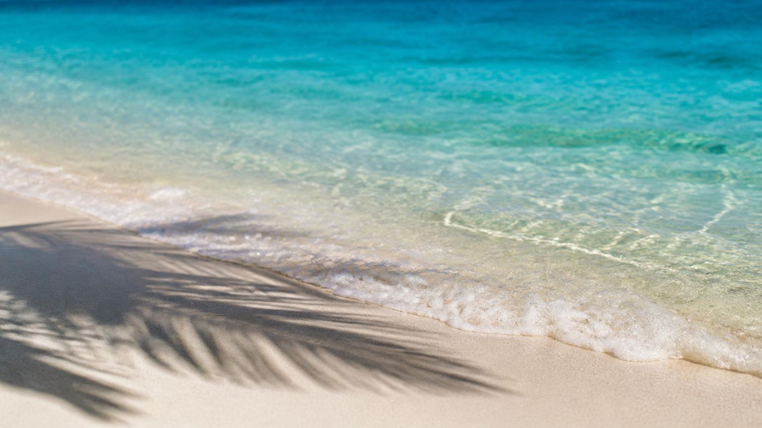 Top 5 Beaches in Aruba